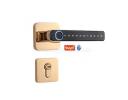 Interior Smart Lock - SIRT4